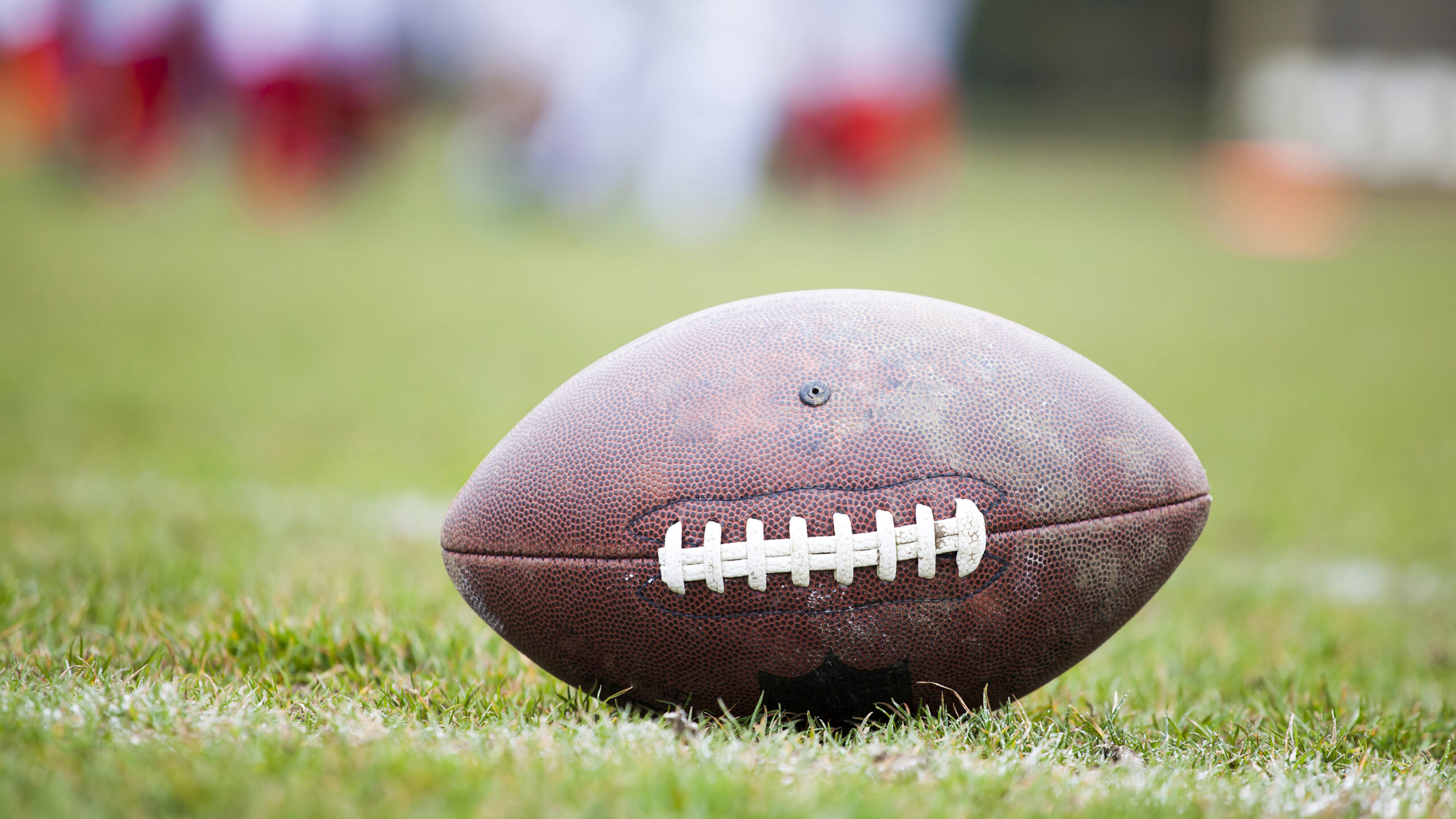 Big Game Composition At White Lake